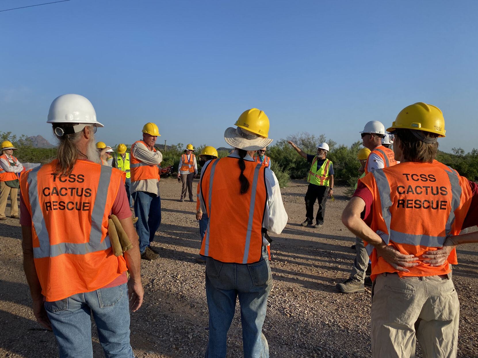 TCSS cactus rescue